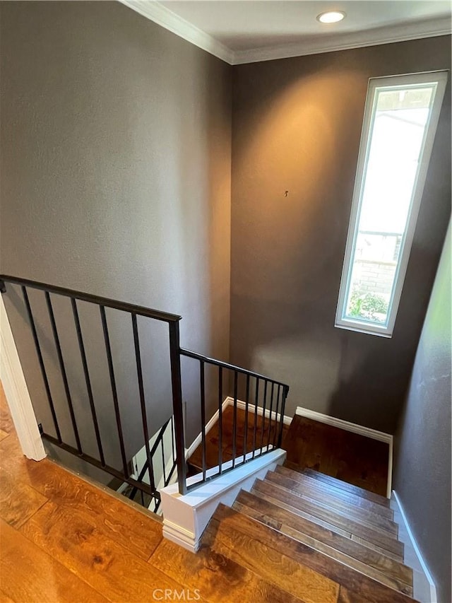5429 Mead Dr, Buena Park, CA 90621 - photo 24