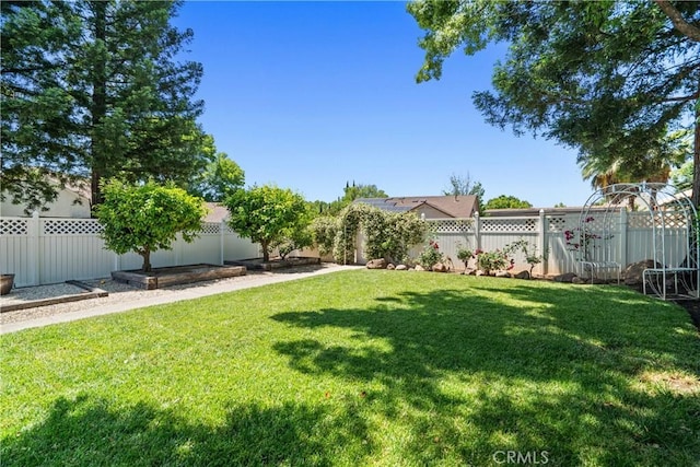 3014 California Park Dr, Chico, CA 95928 - view of yard