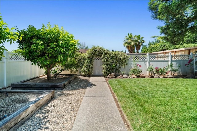 3014 California Park Dr, Chico, CA 95928 - view of yard