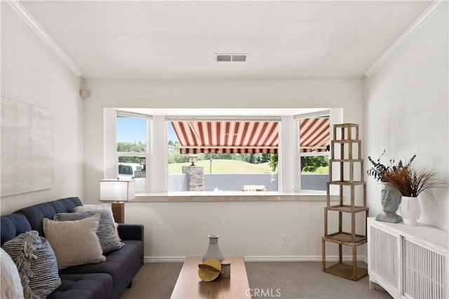 3014 California Park Dr, Chico, CA 95928 - carpeted living area featuring crown molding, radiator, and baseboards