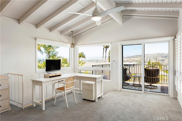 33252 Big Sur St, Dana Point, CA 92629 - carpeted office space featuring healthy amount of natural light and a ceiling fan