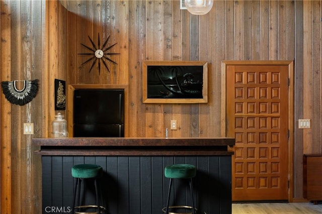 33252 Big Sur St, Dana Point, CA 92629 - detailed view of wooden walls