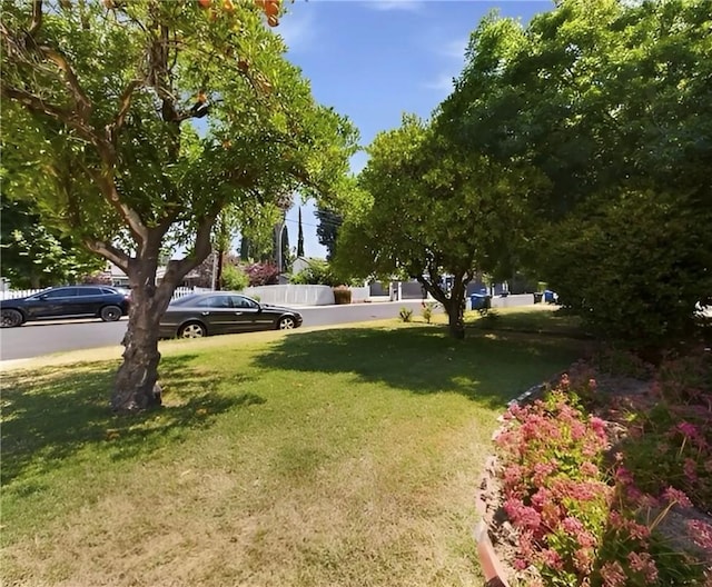 23308 Friar St, Woodland Hills, CA 91367 - view of green lawn