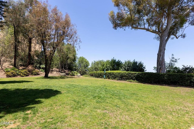 4000 Via Marisol 103, Los Angeles, CA 90042 - view of green lawn