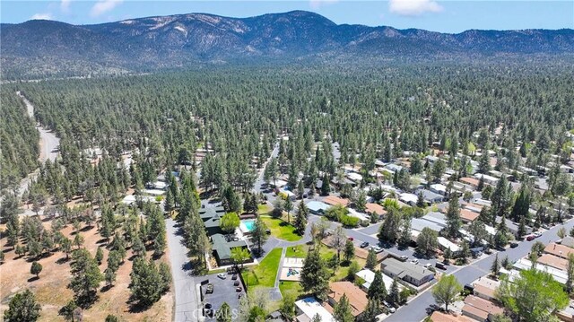 391 Montclair Dr Unit 95, Big Bear City, CA 92314 - photo 16