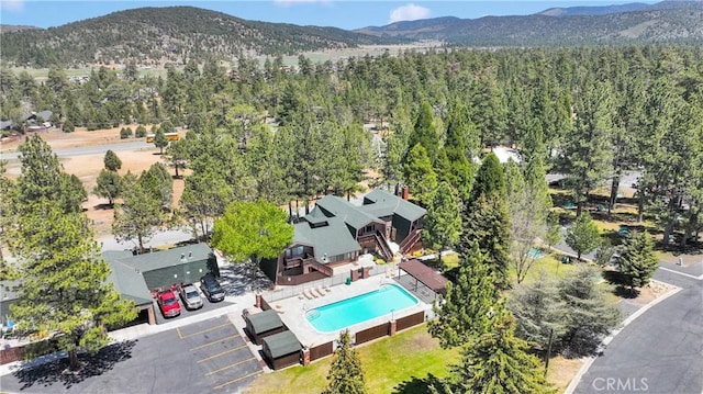 391 Montclair Dr Unit 95, Big Bear City, CA 92314 - photo 17
