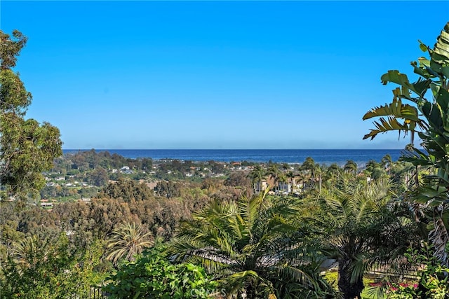 30252 Sonrisa Ln, Laguna Niguel, CA 92677 - water view