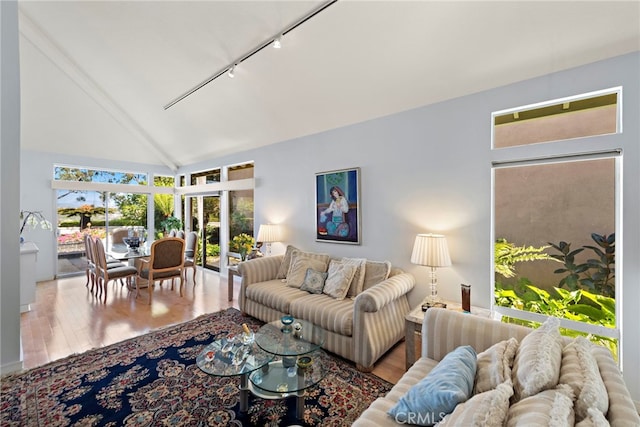 30252 Sonrisa Ln, Laguna Niguel, CA 92677 - living area featuring wood finished floors, rail lighting, high vaulted ceiling, and french doors