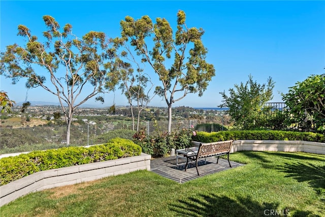 30252 Sonrisa Ln, Laguna Niguel, CA 92677 - view of green lawn with a patio area