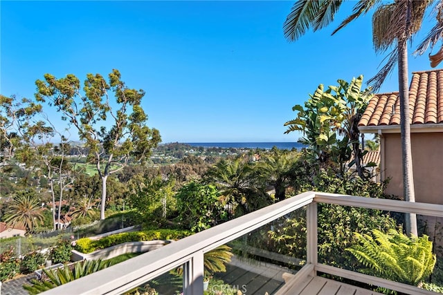 30252 Sonrisa Ln, Laguna Niguel, CA 92677 - water view