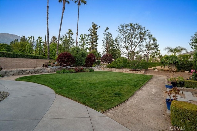2244 N 1st Ave, Upland, CA 91784 - view of green lawn