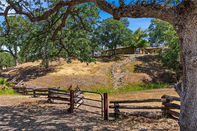 14690 Paynes Creek Rd, Red Bluff, CA 96080 - view of yard