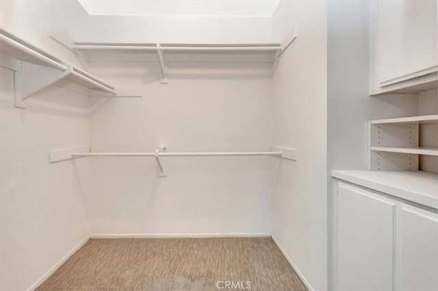 20122 Bayfront Ln Unit 102, Huntington Beach, CA 92646 - spacious closet featuring light carpet