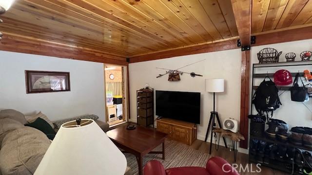 33477 Fern Dr, Green Valley Lake, CA 92341 - living room with wood ceiling and wood finished floors