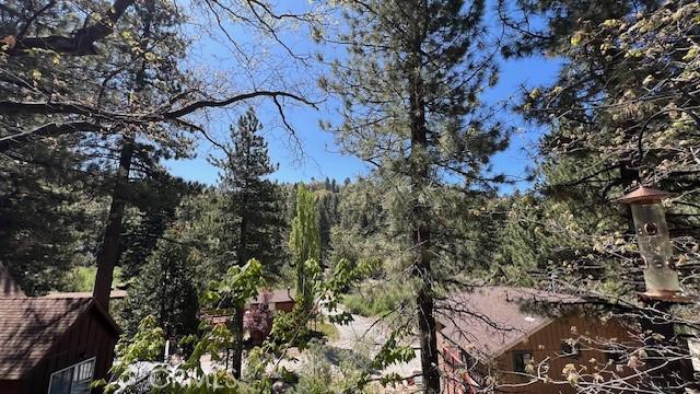 33477 Fern Dr, Green Valley Lake, CA 92341 - view of tree filled area