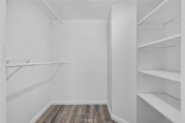27906 Amber Unit 231, Mission Viejo, CA 92691 - walk in closet with wood finished floors