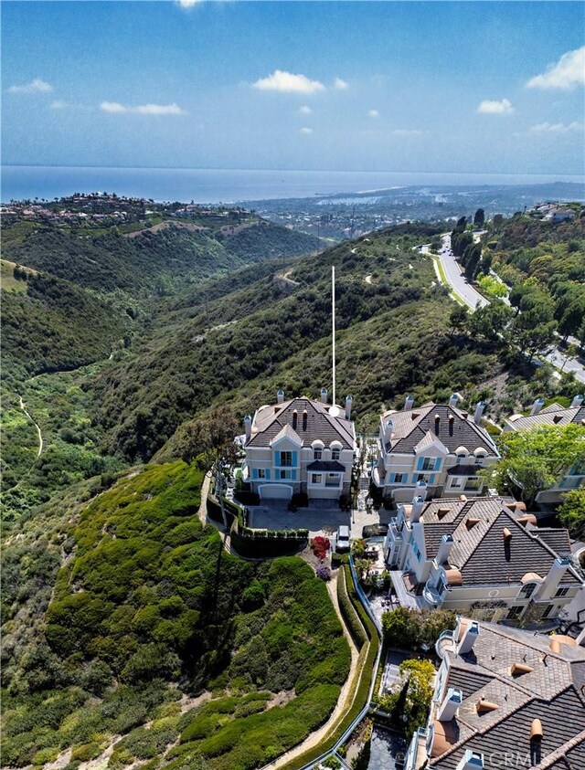 14 Saint Pierre, Newport Coast, CA 92657 - aerial perspective of suburban area