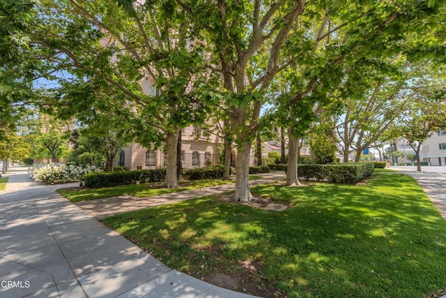 80 N Euclid Ave Unit 102, Pasadena, CA 91101 - photo 25