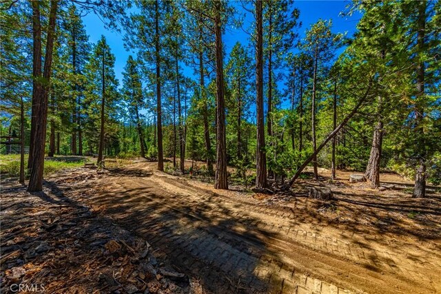 0 River St, Wawona, CA 95389 - photo 5