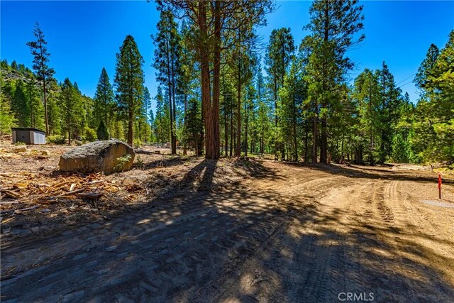 0 River St, Wawona, CA 95389 - photo 3