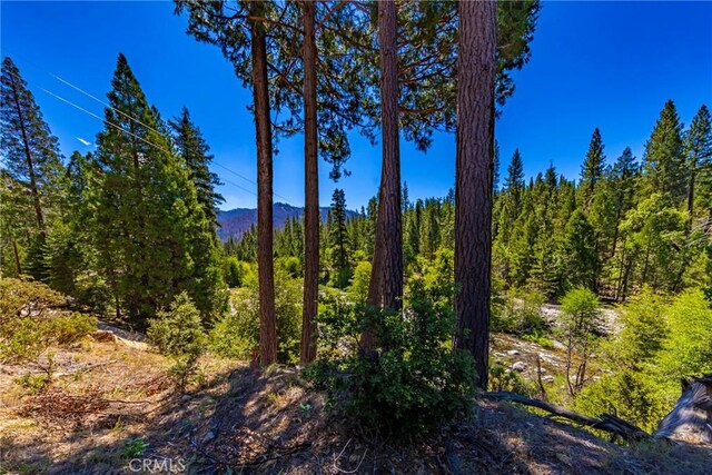 0 River St, Wawona, CA 95389 - photo 12
