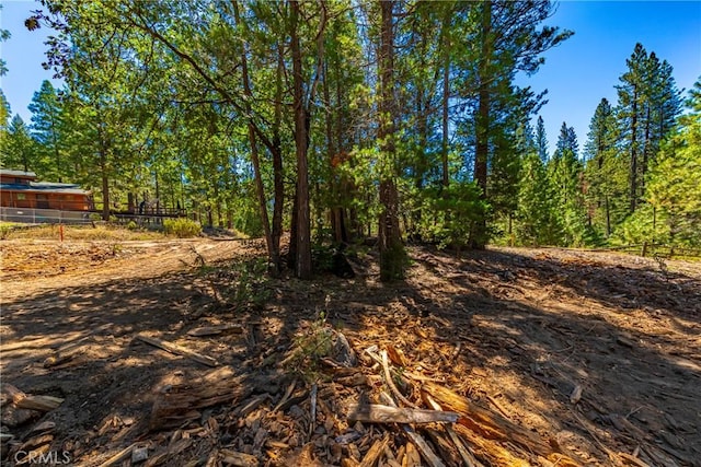 0 River St, Wawona, CA 95389 - photo 6