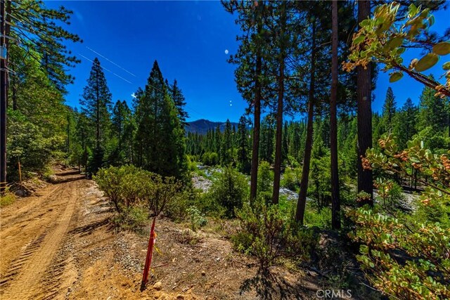 0 River St, Wawona, CA 95389 - photo 10