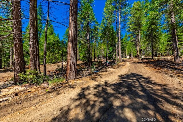 0 River St, Wawona, CA 95389 - photo 14