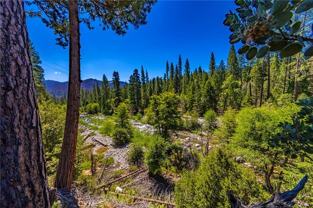 0 River St, Wawona, CA 95389 - photo 11