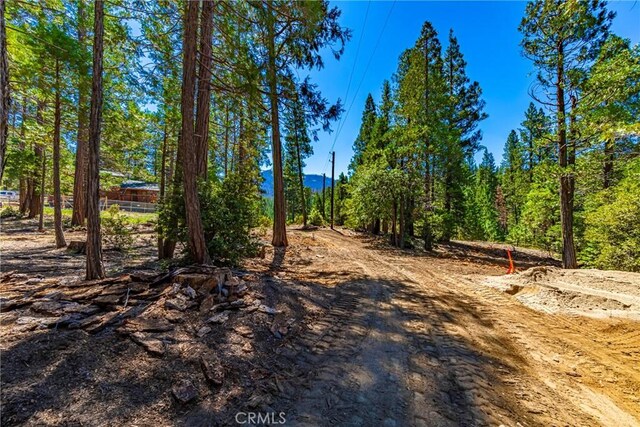 0 River St, Wawona, CA 95389 - photo 4