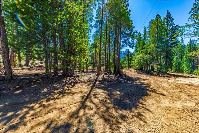 0 River St, Wawona, CA 95389 - photo 15