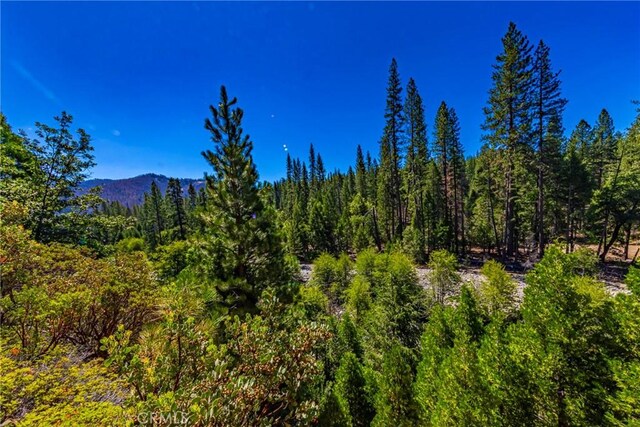 0 River St, Wawona, CA 95389 - photo 8