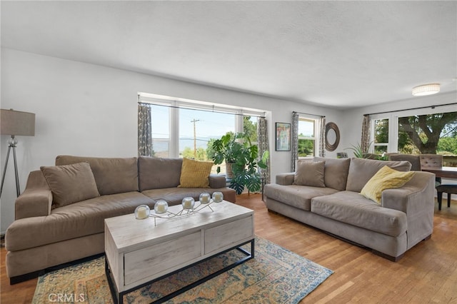 31189 Alta Vista Dr, Redlands, CA 92373 - living room with plenty of natural light and wood finished floors