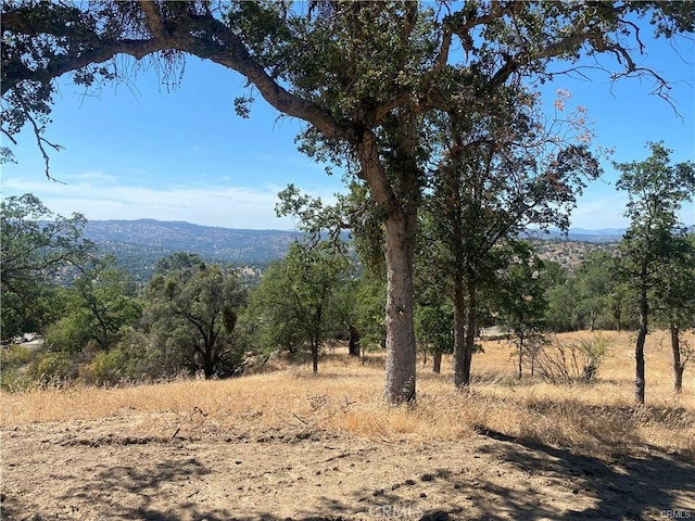 1807 Sentinel Dr, Coarsegold, CA 93614 - photo 5