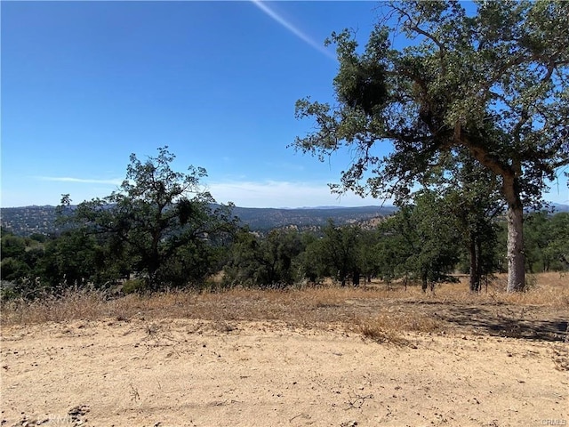 1807 Sentinel Dr, Coarsegold, CA 93614 - photo 16