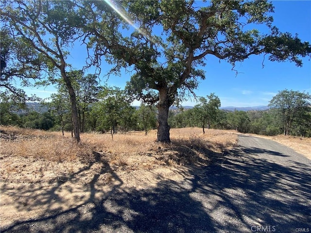 1807 Sentinel Dr, Coarsegold, CA 93614 - photo 9