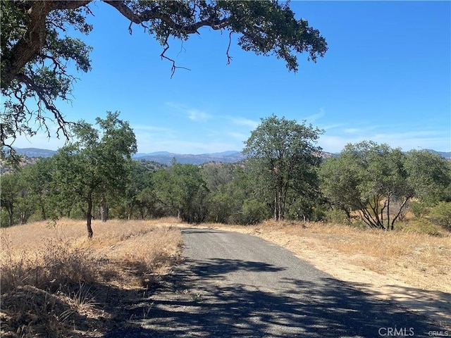 1807 Sentinel Dr, Coarsegold, CA 93614 - photo 10