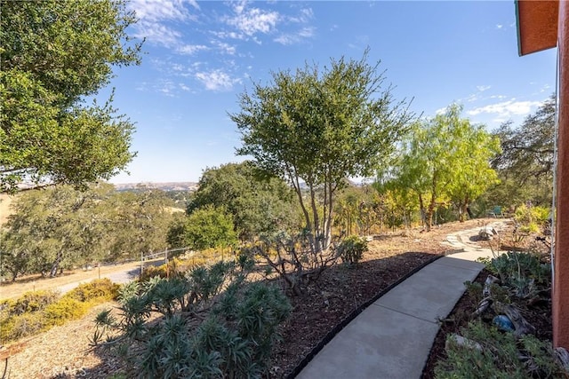 10755 Santa Ana Rd, Atascadero, CA 93422 - view of yard