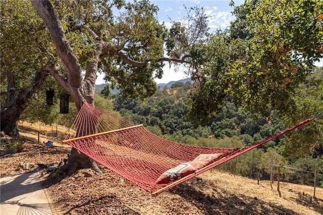 10755 Santa Ana Rd, Atascadero, CA 93422 - view of yard