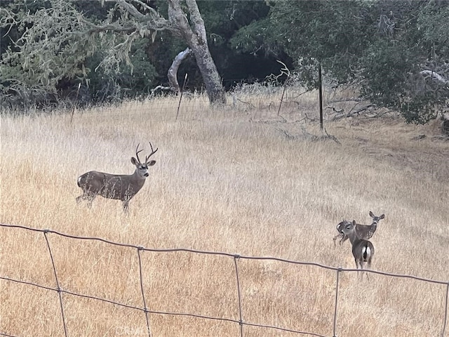 10755 Santa Ana Rd, Atascadero, CA 93422 - view of local wilderness