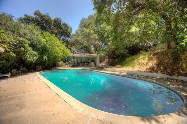 520 Linda Vista Ave, Pasadena, CA 91105 - outdoor pool with a patio area and view of scattered trees