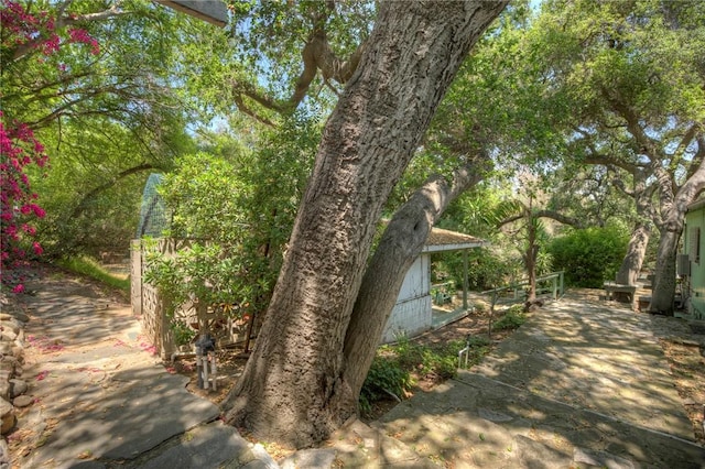 520 Linda Vista Ave, Pasadena, CA 91105 - view of yard featuring a patio area