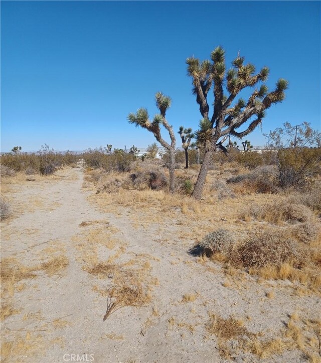 0 Sierra Rd, Pinon Hills, CA 92372 - photo 8