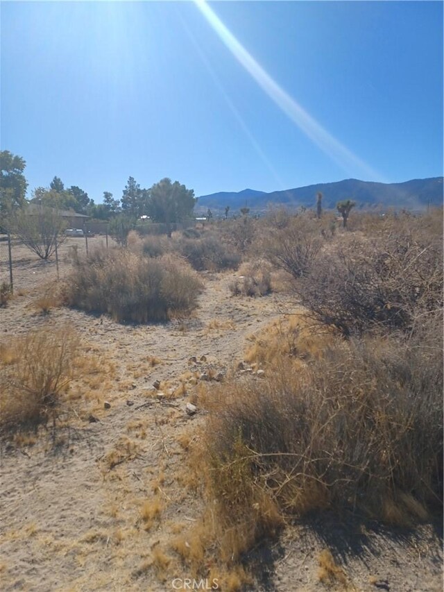 0 Sierra Rd, Pinon Hills, CA 92372 - photo 7