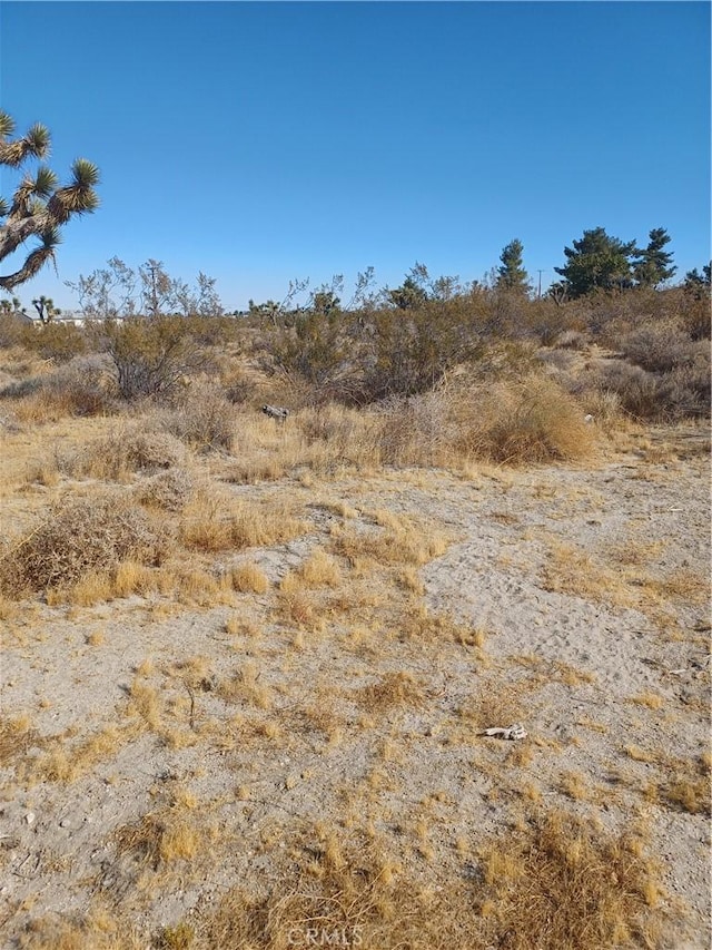 0 Sierra Rd, Pinon Hills, CA 92372 - photo 9