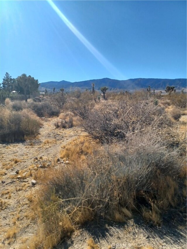 0 Sierra Rd, Pinon Hills, CA 92372 - photo 6