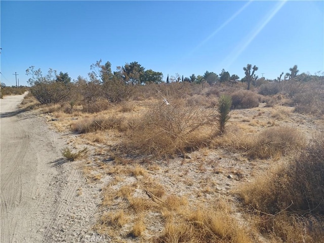 0 Sierra Rd, Pinon Hills, CA 92372 - photo 2
