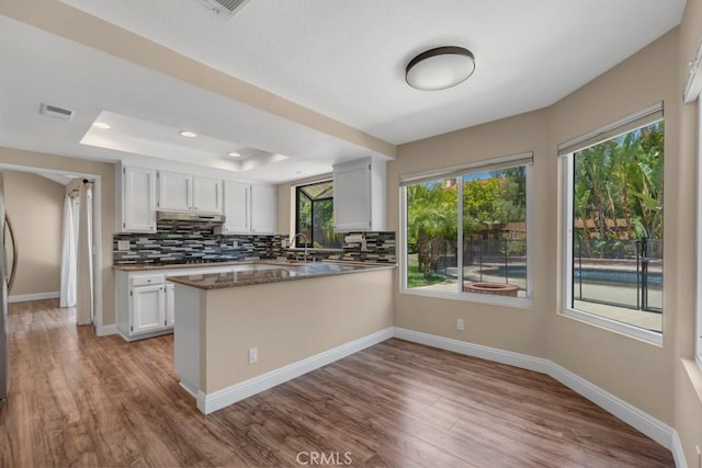 575 Nicole Dr, Newbury Park, CA 91320 - kitchen with a raised ceiling, under cabinet range hood, a peninsula, white cabinetry, and decorative backsplash