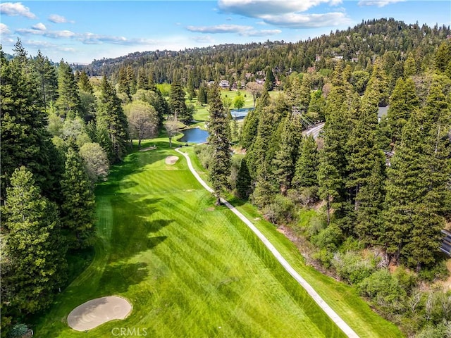 851 Madera Ln, Lake Arrowhead, CA 92352 - aerial view of a heavily wooded area, a nearby body of water, and a local golf course