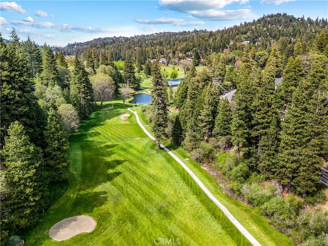 851 Madera Ln, Lake Arrowhead, CA 92352 - photo 50